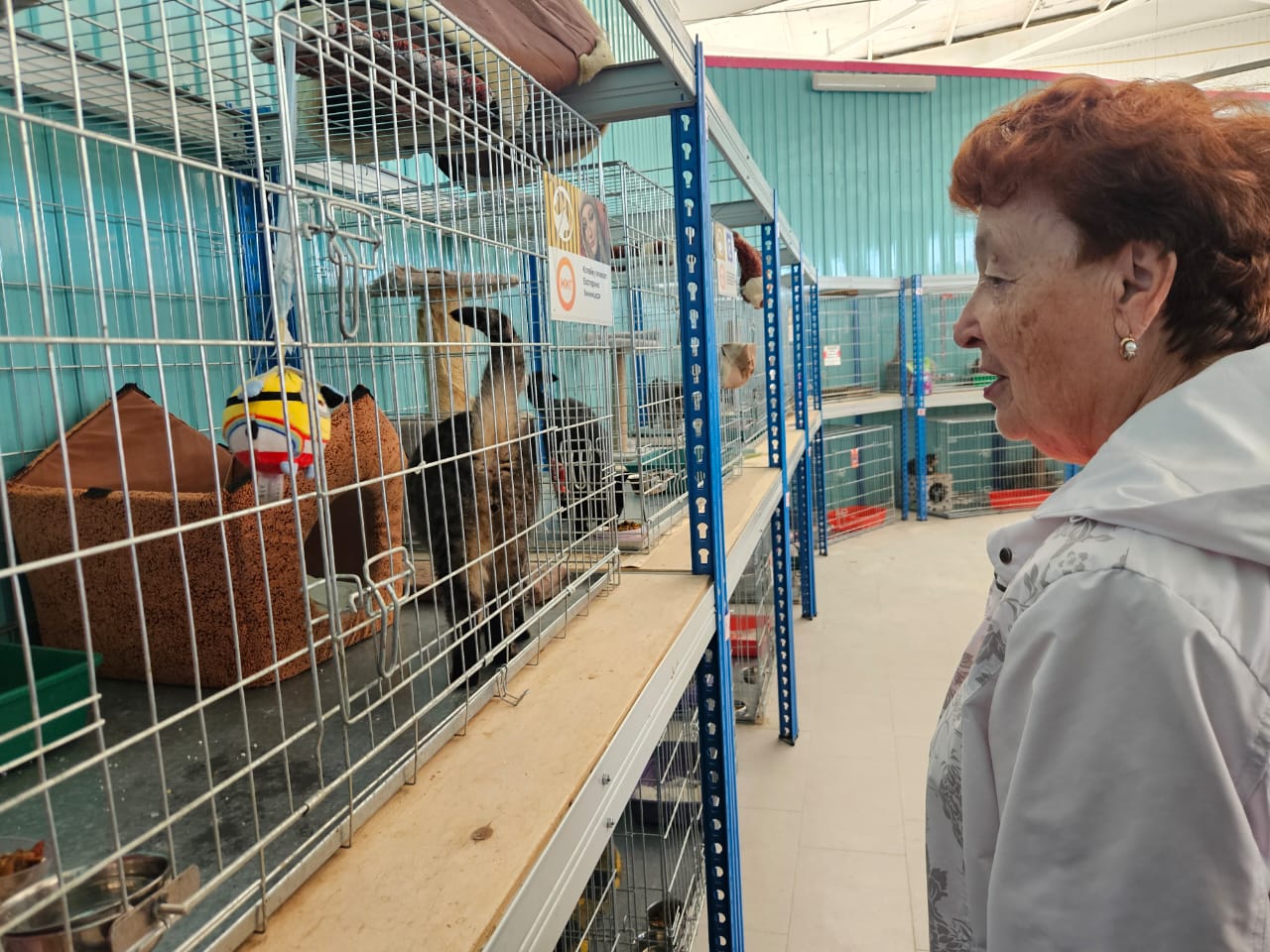 Тамара Казанцева побывала в приюте для бездомных животных Ноябрьска