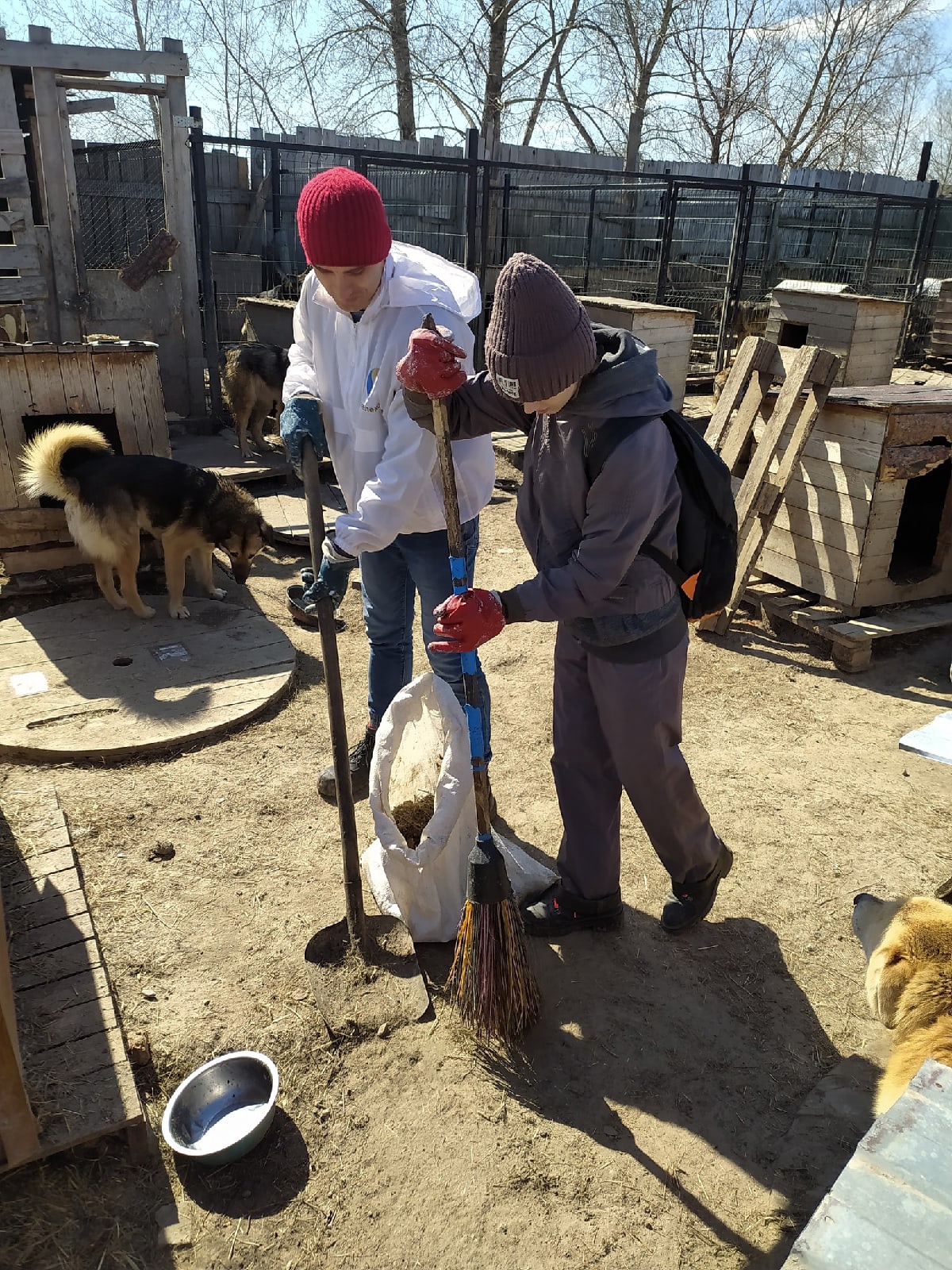 Тобольские комсомольцы провели субботник в приюте для собак